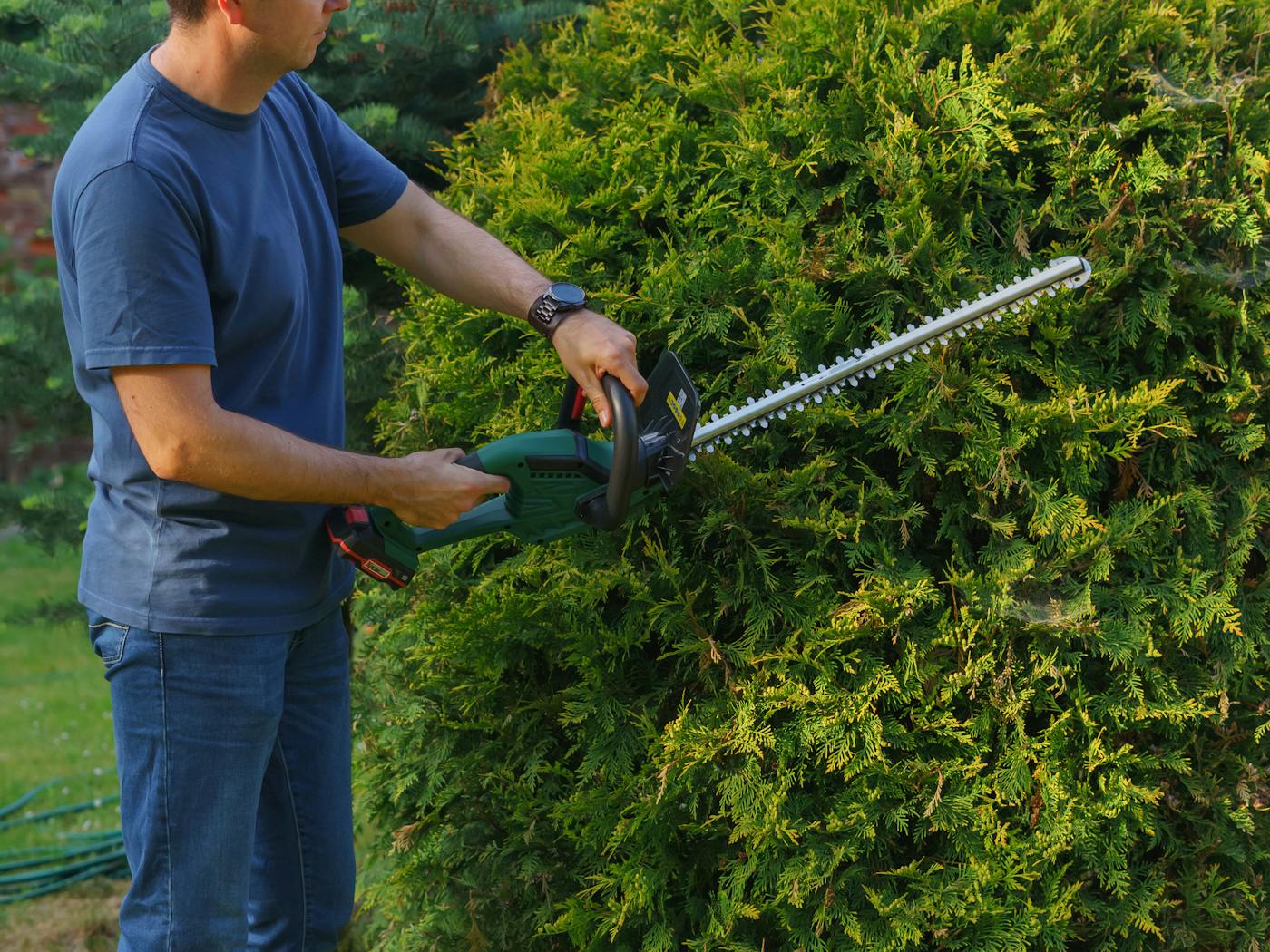 Boxwood hedges shaped into a neat line along a residential walkway.