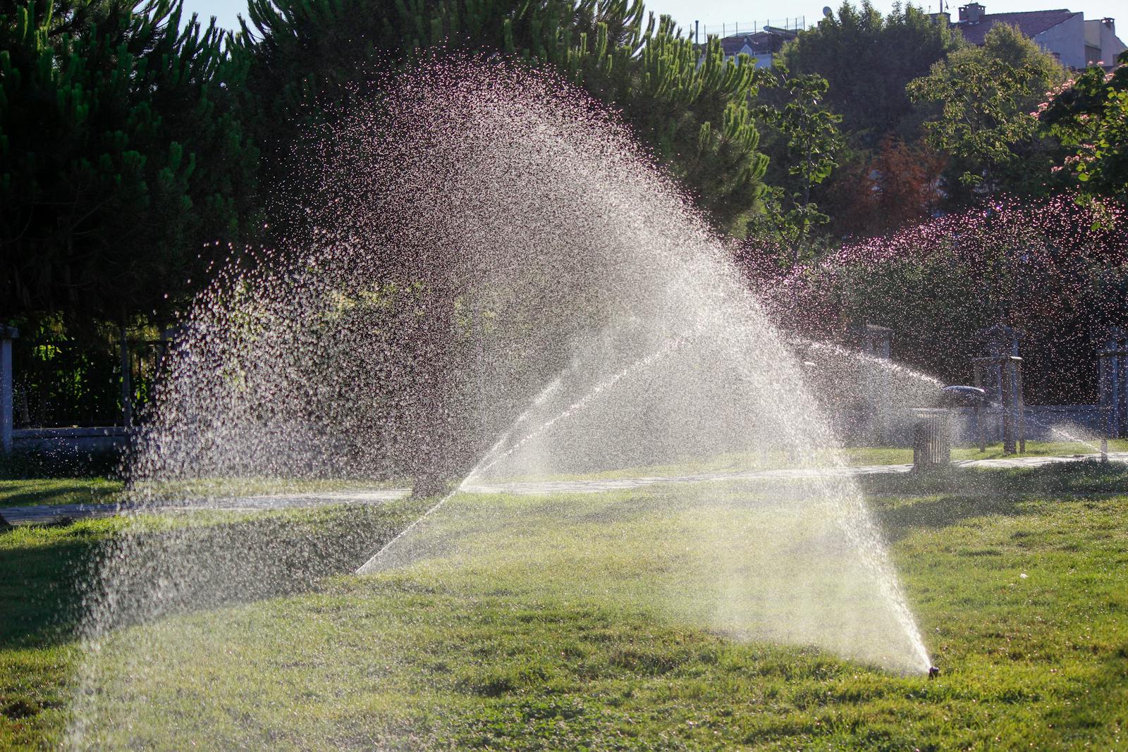 Pop-up sprinkler head spraying a clean arc over a healthy green Round Rock lawn.